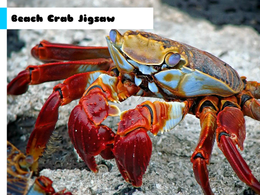 Beach Crab Jigsaw