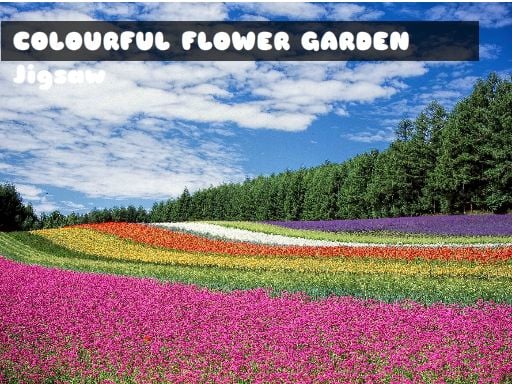 Colourful Flower Garden Jigsaw